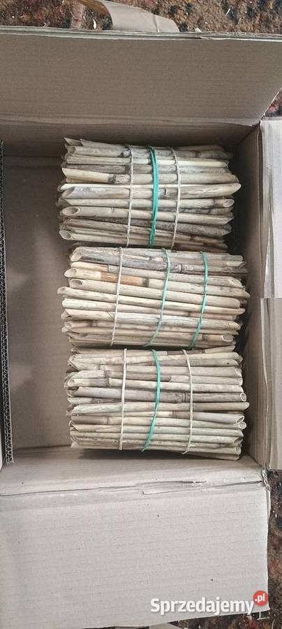 Trzcina pszczoła murarka słomki faktura Vat RR lubelskie Buchałowice