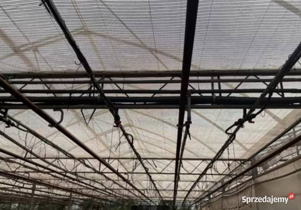Szklarnia tunel foliowy 5500m2 Siedlce