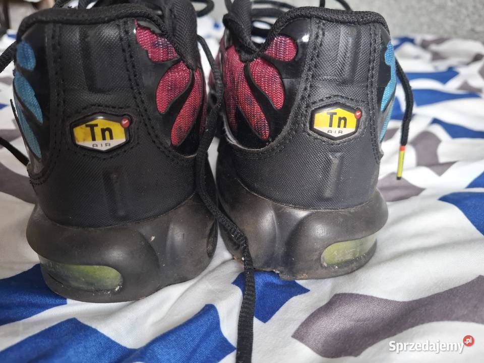 Nike Air TN Poznań