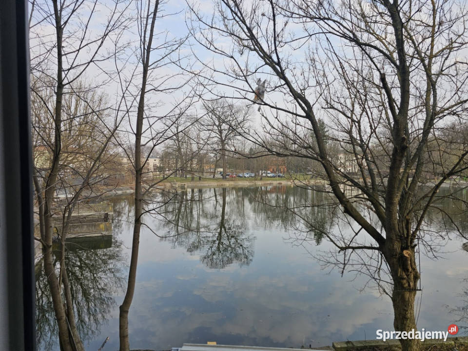 Mieszkanie w Żyrardowie z pięknym widokiem na mazowieckie Żyrardów