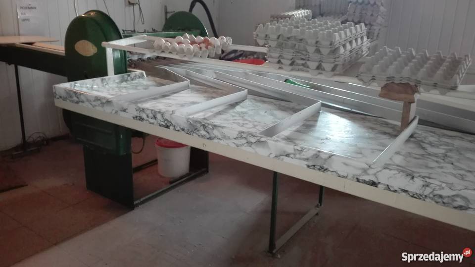 Sortownica do jaj jajek BENHIL sprzedam