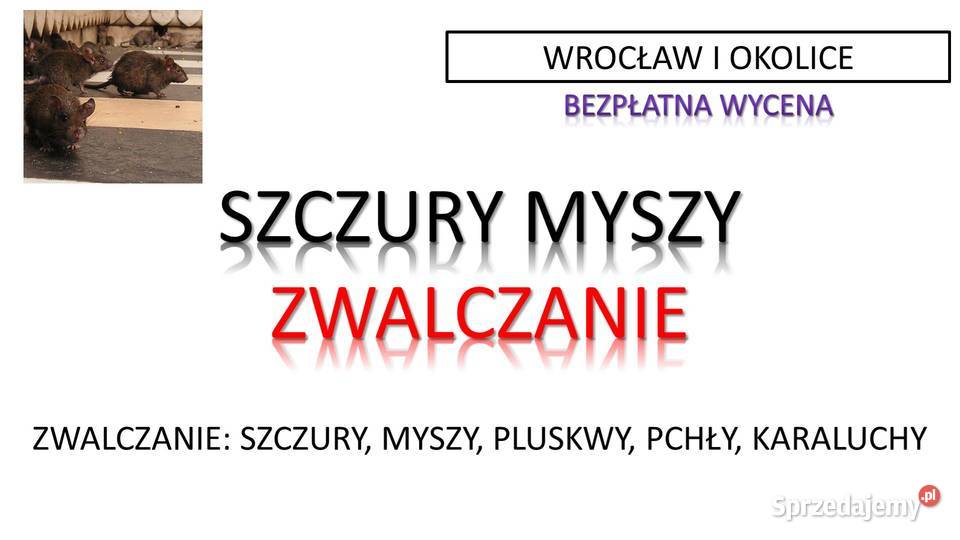 Odławianie myszy Wrocław Usługi odławiania myszy Pozostałe usługi
