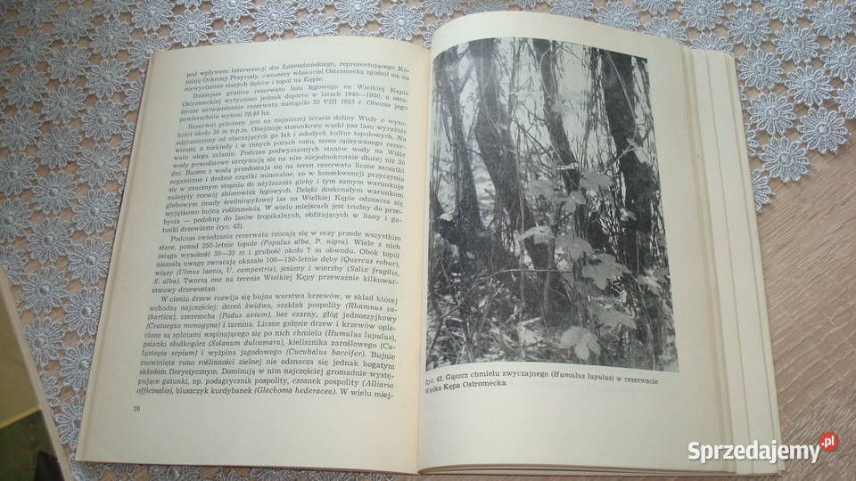 Osobliwości florystyczne i rezerwaty ziemi