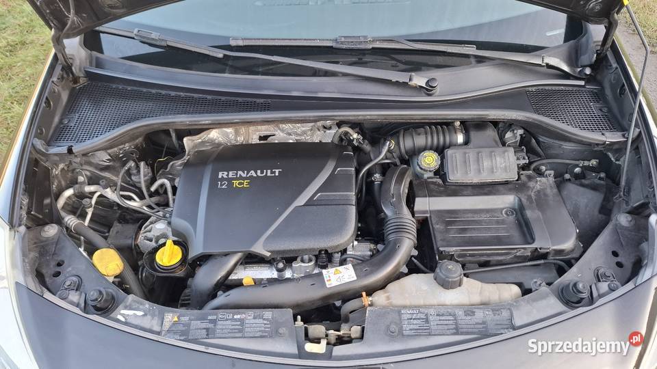 RENAULT CLIO 12 100 2008R Z NIEMIEC Jarosław