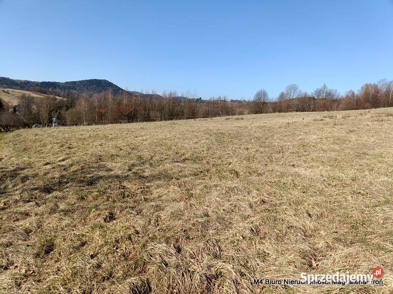 Widokowa 99 arowa działka w Jasienicy Rosielnej polna Jasienica Rosielna