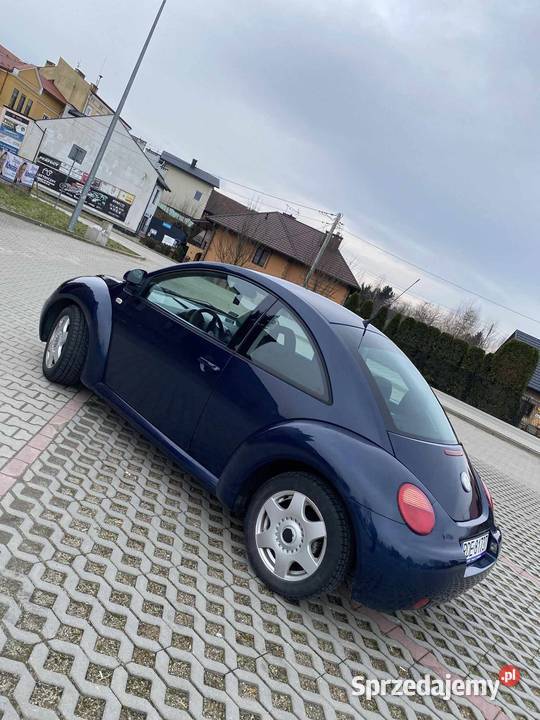 Vw Beetle Beetle