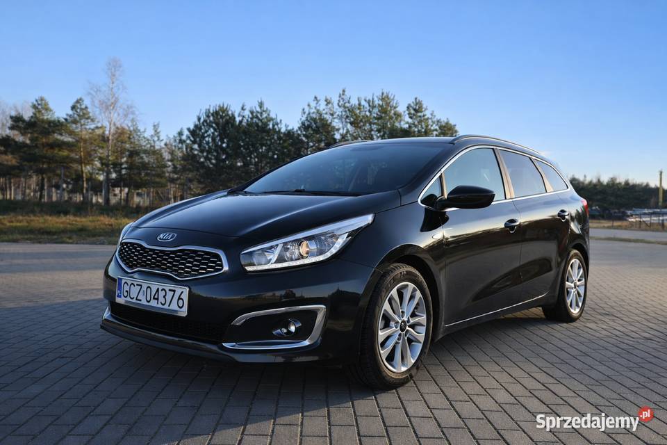 KIA Ceed czujnik parkowania Człuchów