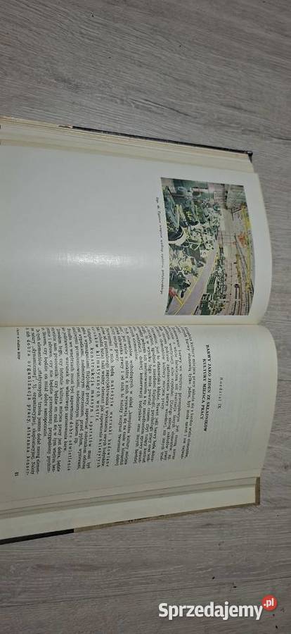 Barwy w służbie bezpieczeństwa i higieny pracy Antykwariat Łęczyca