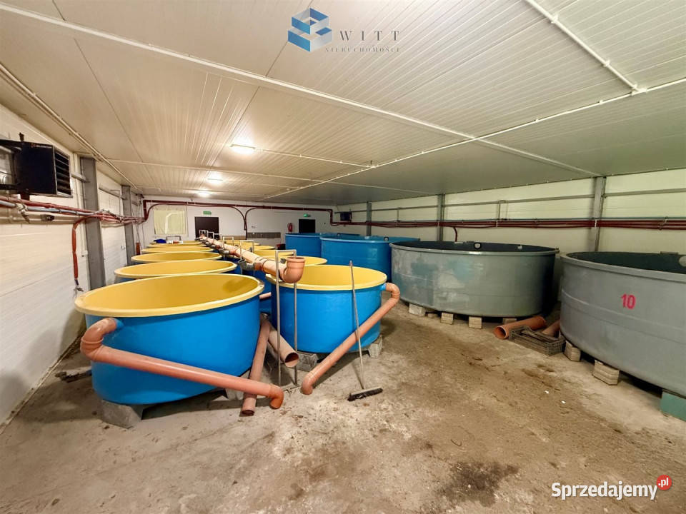 Lokal 342 metry Łukta 4093zł/m2 Sprzedaż