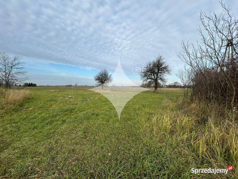 Dwie działki w Żukach rolna i pod zabudowę Sprzedaż Żuki
