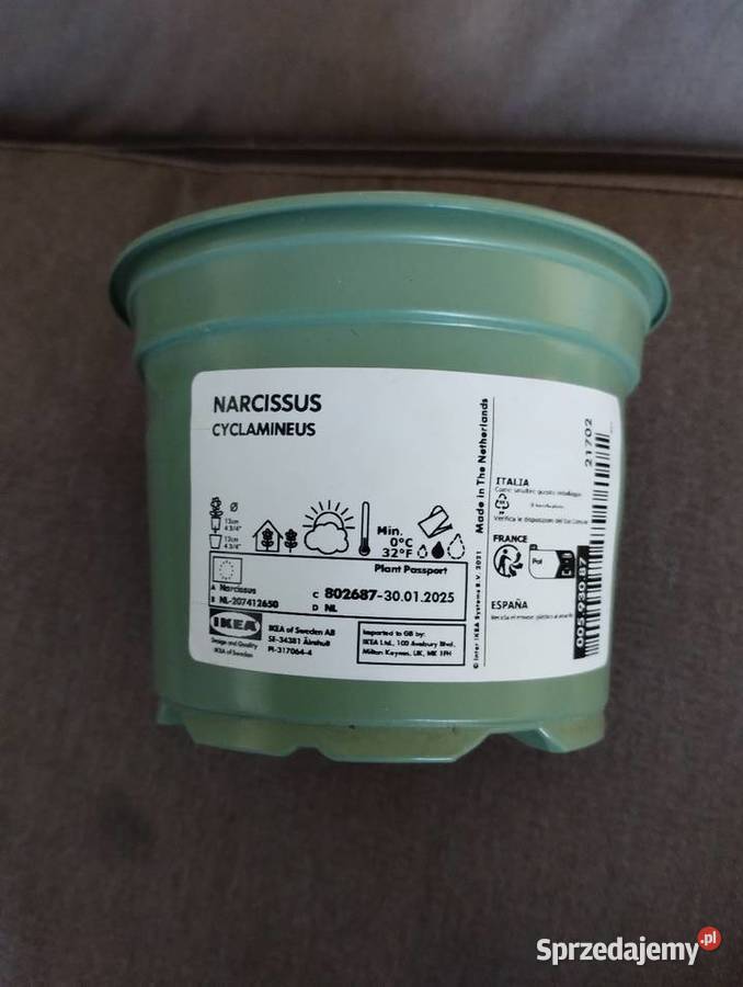 Doniczki zielone i kolorowe