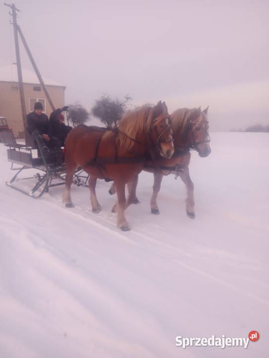 Sanie konne wysuwane kółka i hamulec Milejów