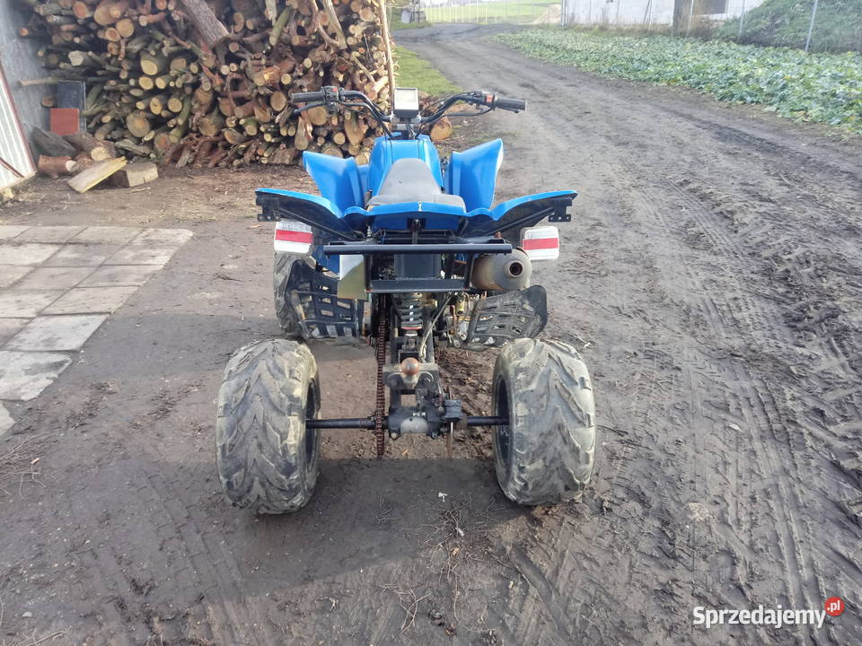 Bashan 250 33333km Minkowice