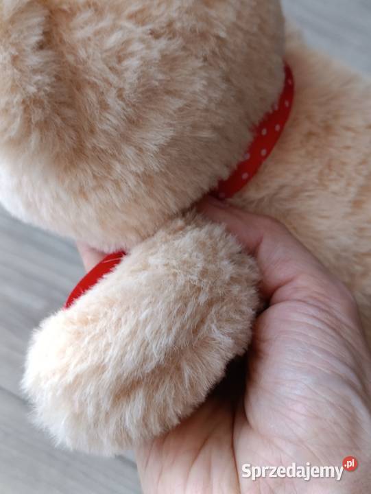 miś pluszak sprzedam Poznań