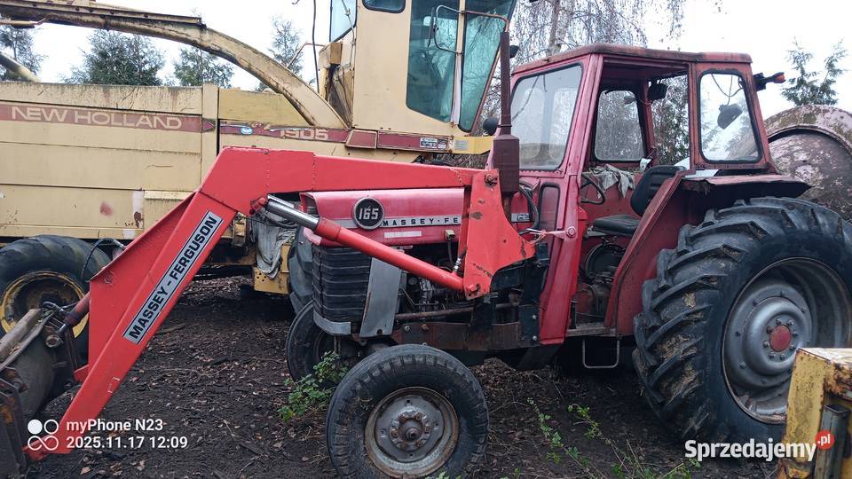 Massey Ferguson 165 Massey Ferguson Ostrówek sprzedam