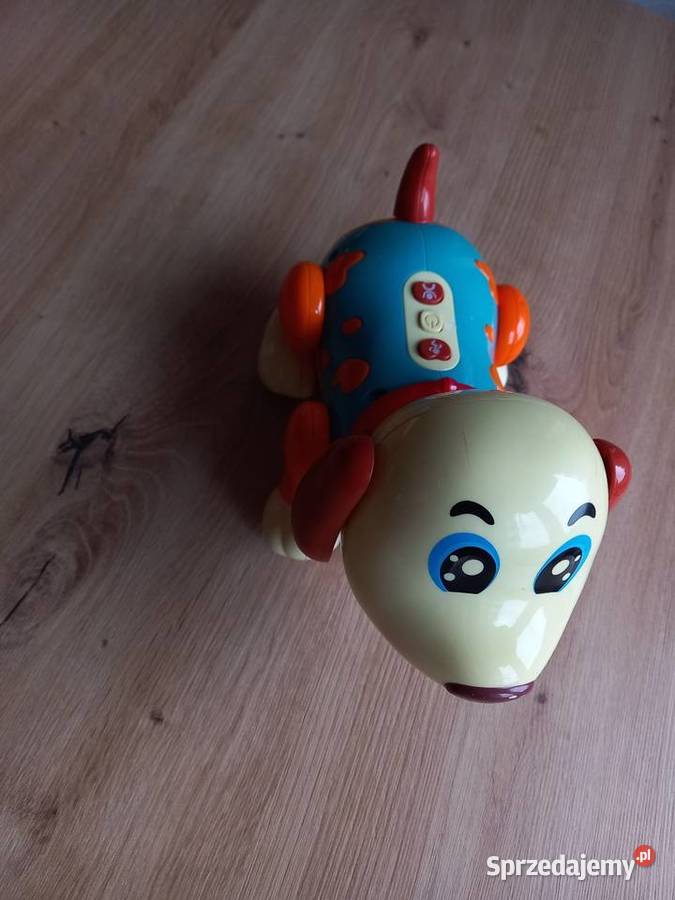 Klocki Fisher piesek i gra na baterie Radom