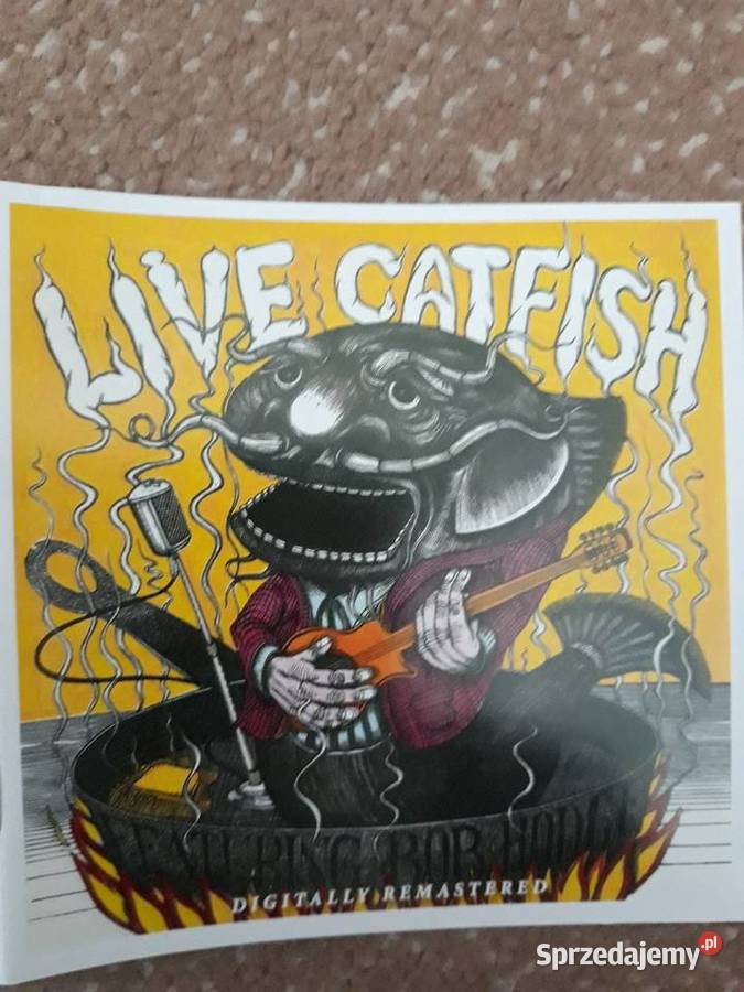 Z archiwalnych wykofpalisk SUM ŻYJE CATFISH rock podkarpackie Rzeszów