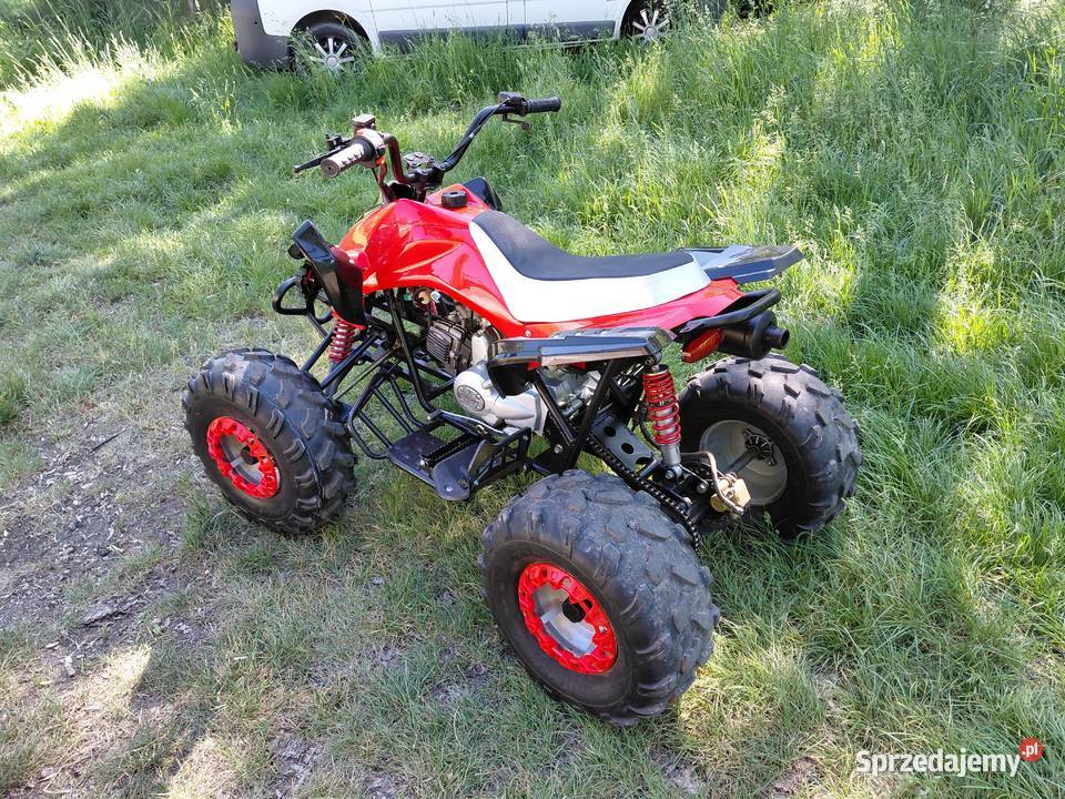 Quad 110 remoncie panthera Lubin