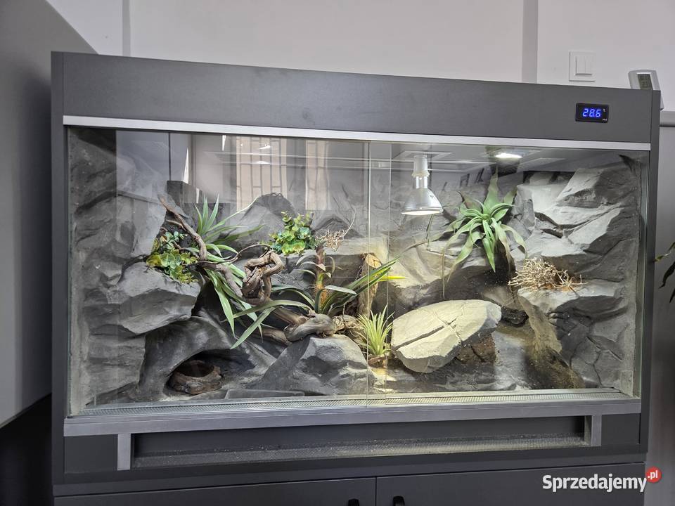 terrarium Zgierz