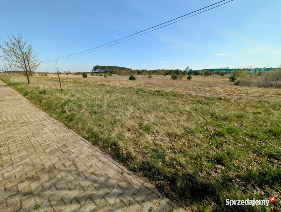 3 ha terenów usługowych DK22 0 lubuskie