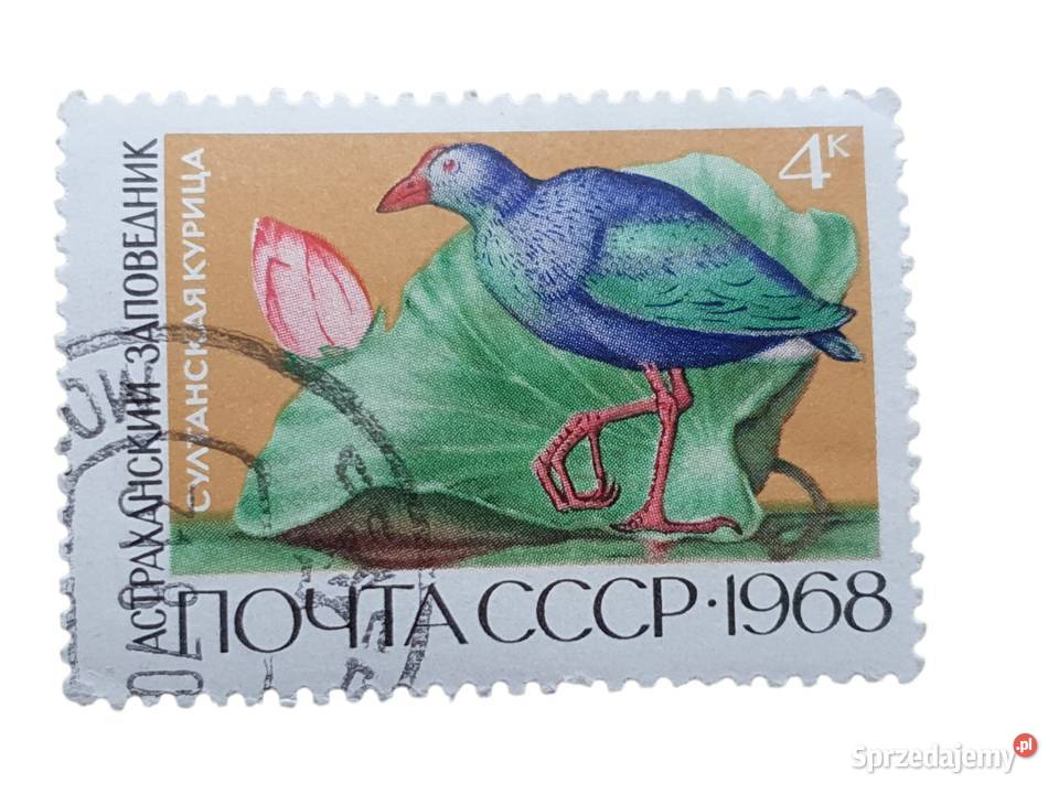 Stary znaczek pocztowy ZSRR 1968 ptaka wodnego Cieszyn sprzedam