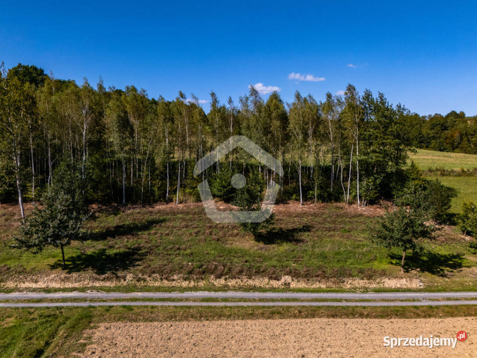 Działka lesie z WZ 34 ar 16 ar las Zagorzyce