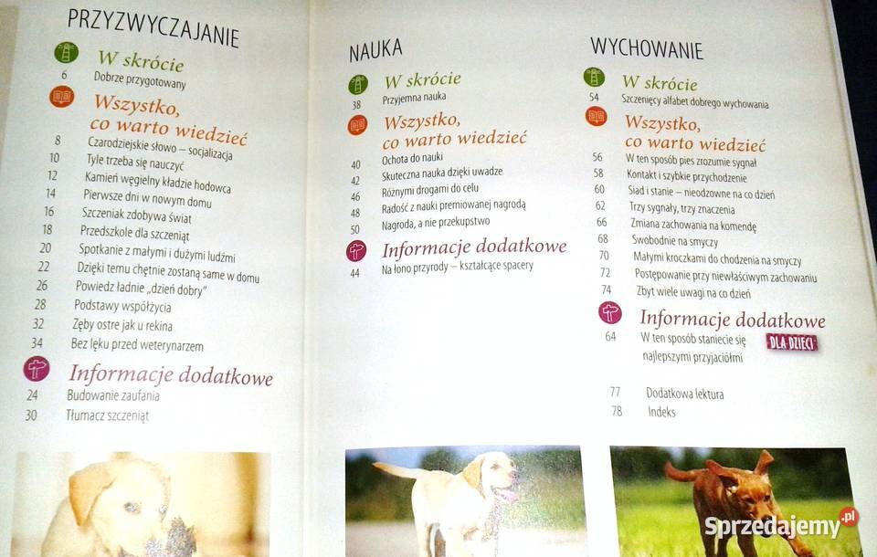 Wychowywanie psa Renate Jones miękka Chełm