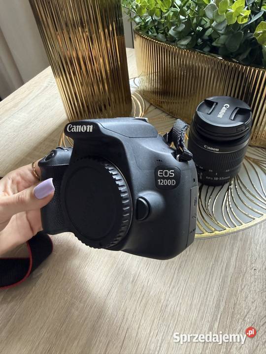 Canon 1200D Puławy