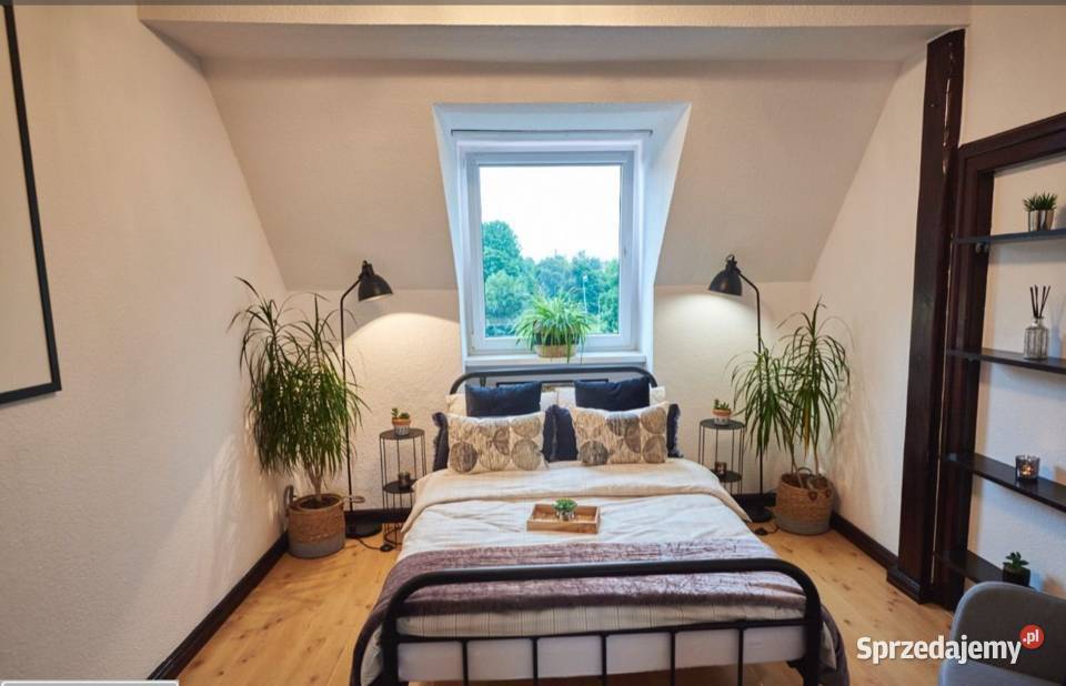 3pok 64met Ceglanej ROZKŁAD Legnica Sprzedaż