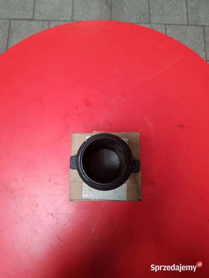 Tuleja Holland 5089355 lubuskie Sulechów