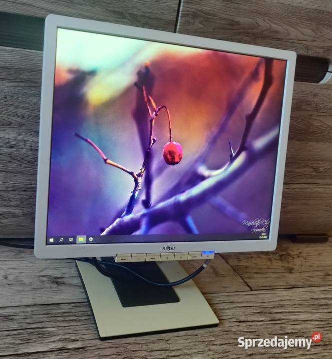 Monitor Fujitsu B196 19 LED DVI VGA Pivot ładny Jankowice sprzedam