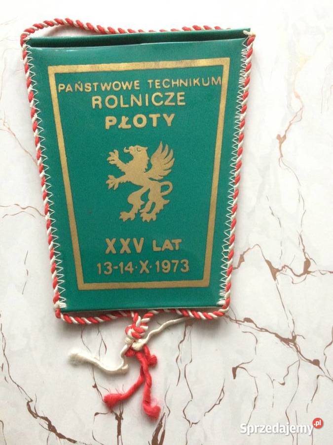 1257 Proporczyki 4 Szczecin