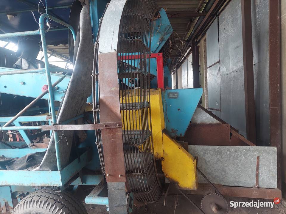 Anna z 614 Aleksandrów Kujawski sprzedam