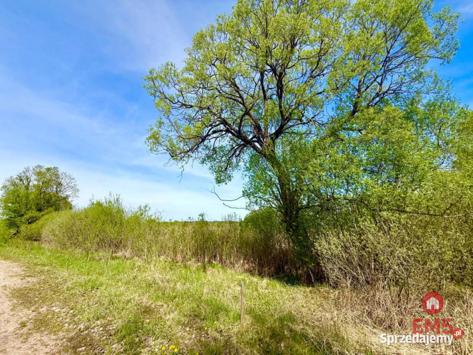 sprzedaży gruntu Bród Nowy 30000m2 sprzedam