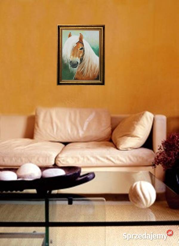 Obraz olejny Białogrzywy koń lubelskie Lublin