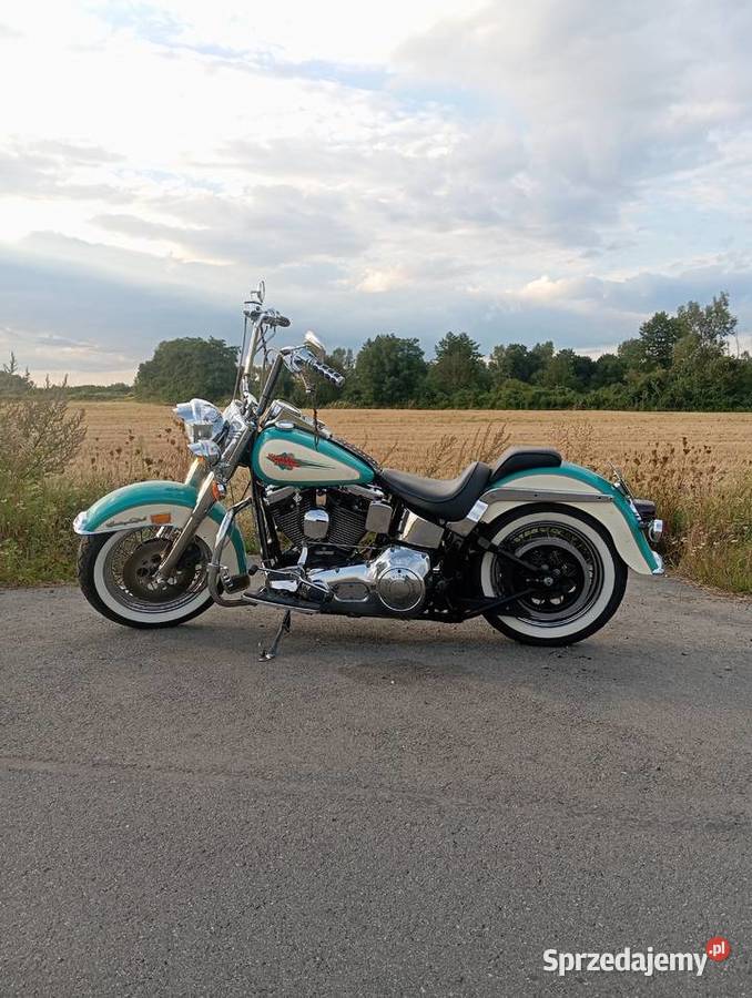 Harley Davidson FLSTC 1994 Motocykle, skutery, quady Jarosław