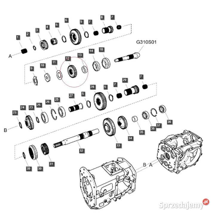 Zębatka 30T30T skośna skrzyni 3750 x 9810 x 16 Do ciągników Tajęcina sprzedam