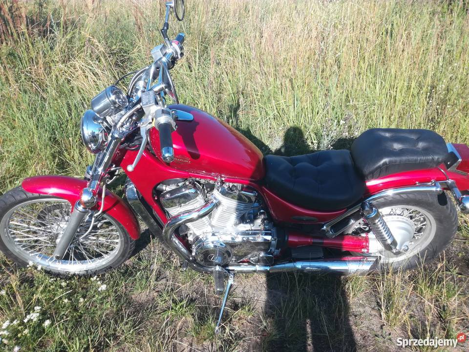 Suzuki intruder