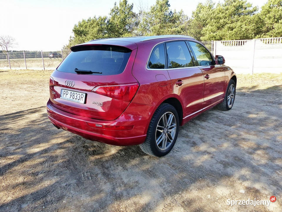 Audi Q5 20 TDI wielkopolskie Piła