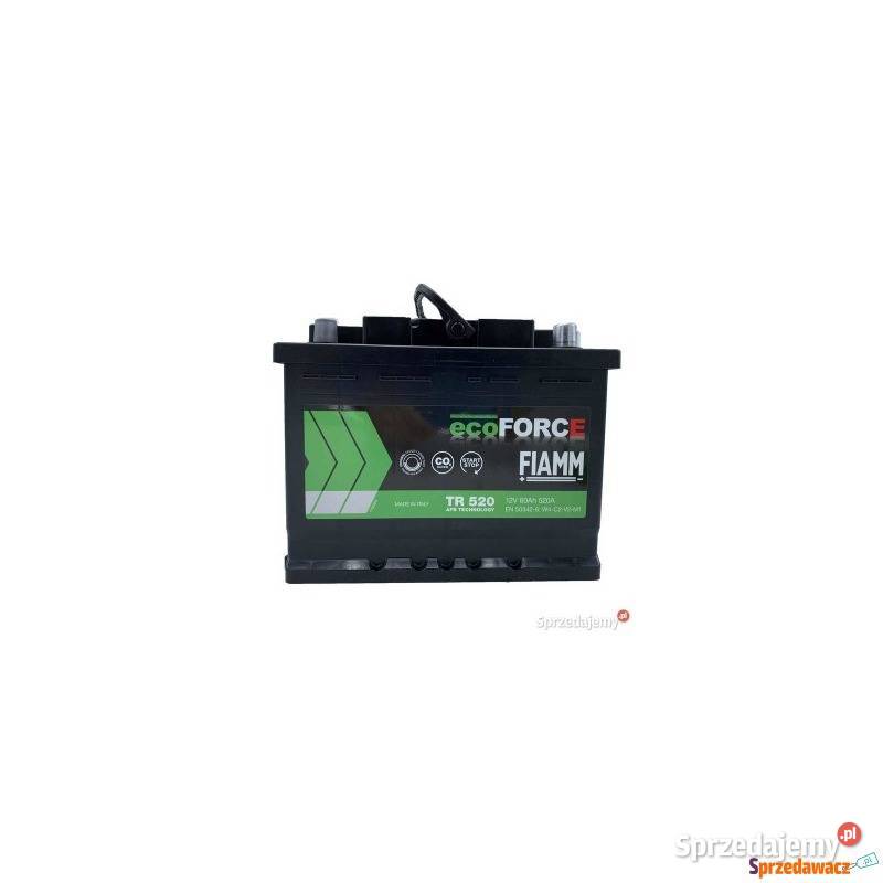 Akumulator 60AH 520A Fiamm Ecoforce AFB Gdynia