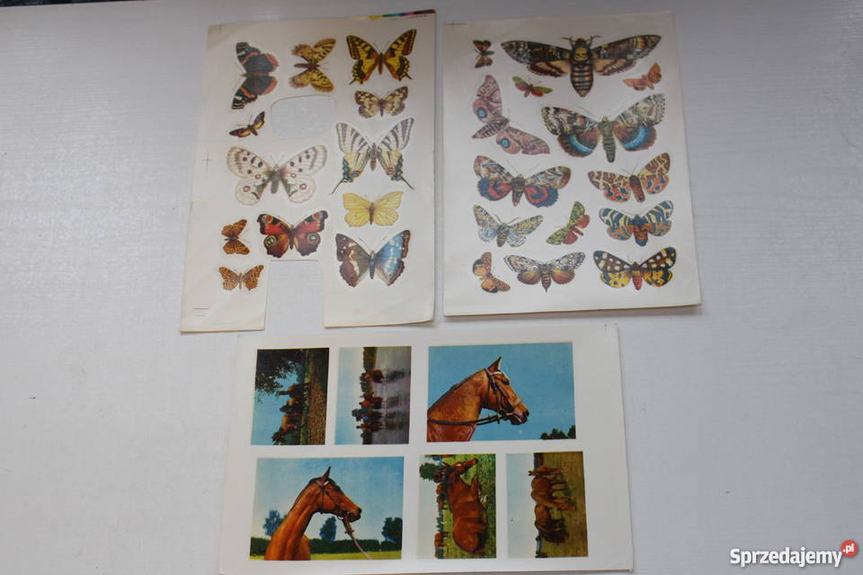 unikatowe kalkomanie WZG Kalkomania Planet Pozostałe Warszawa