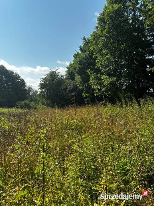 DZIAŁKA POD ZABUDOWĘ ZAGRODOWĄ ŚWIELUBIE GMINA sprzedam