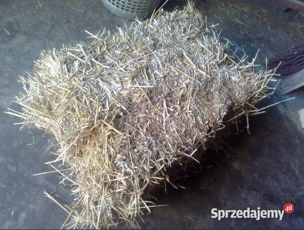 słoma w kostkach pszenna Gierałtowiczki