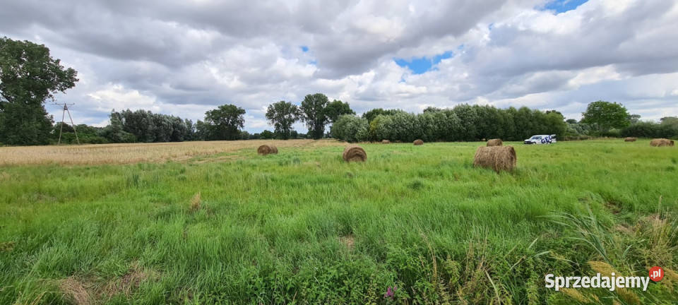 Działka budowlana w PiaskowcuOstaszewo 14000m2 Sprzedaż Piaskowiec