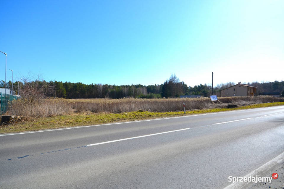 Grunt 1824m2 Głusko DużeKolonia Głusko Duże-Kolonia