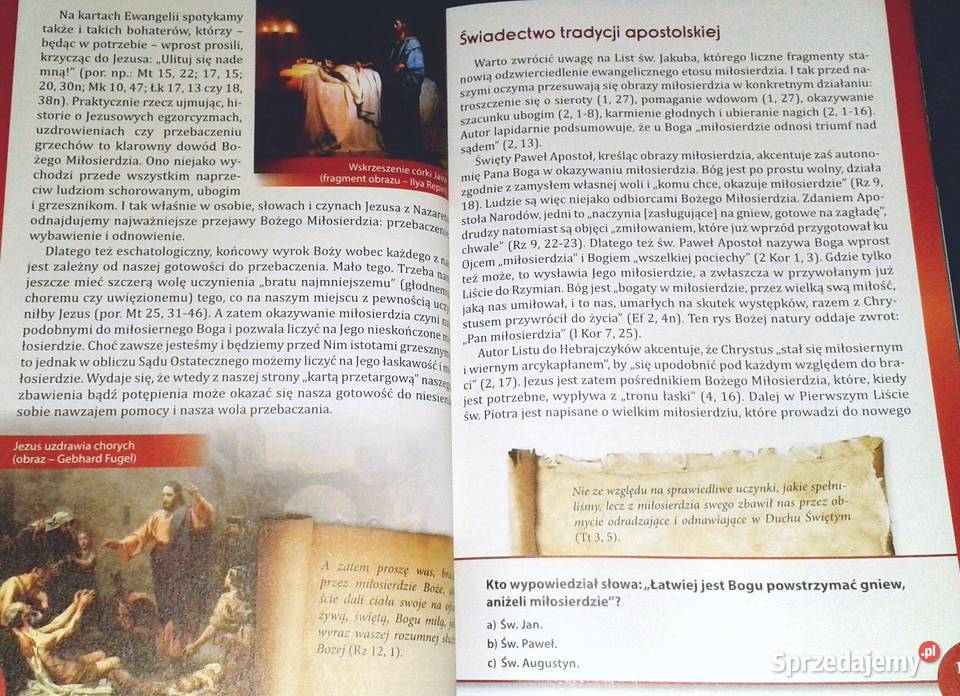 Wszystko o Bożym Miłosierdziu Geneza świadkowie Chełm