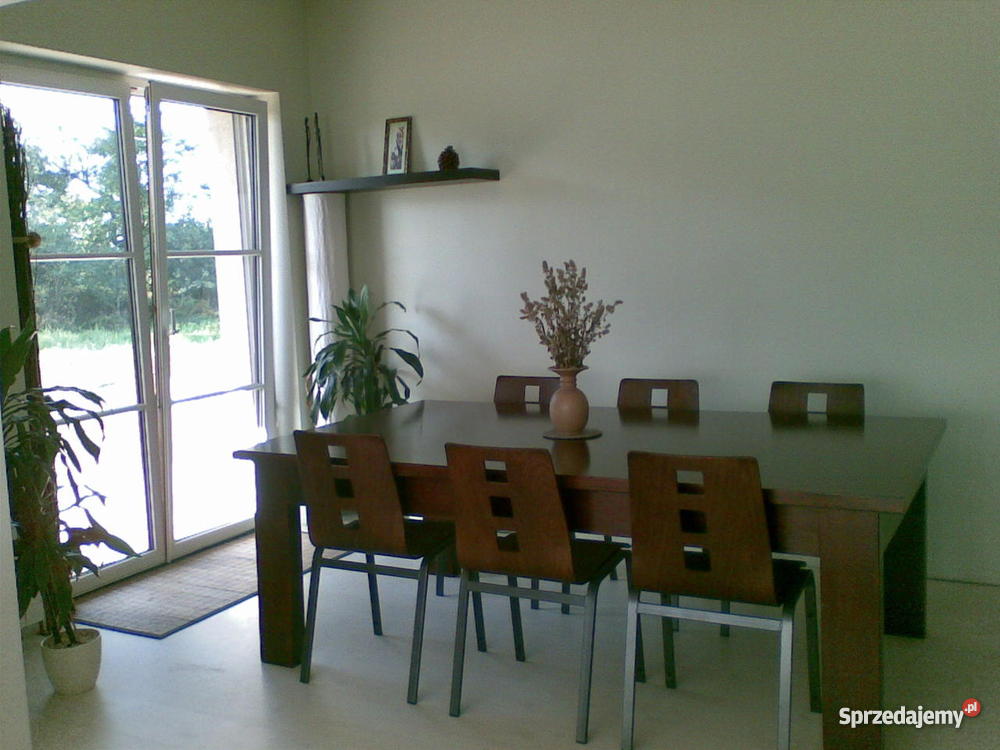 dom z dużą działką Saczyn