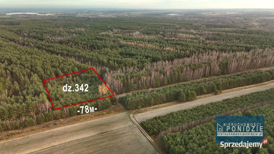 Działka leśna Szczytniki gm Stopnica