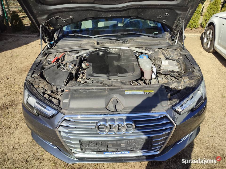 Audi A4 B9 20TDI 150 Automat Sedan Pełen serwis asystent pasa ruchu Turek sprzedam