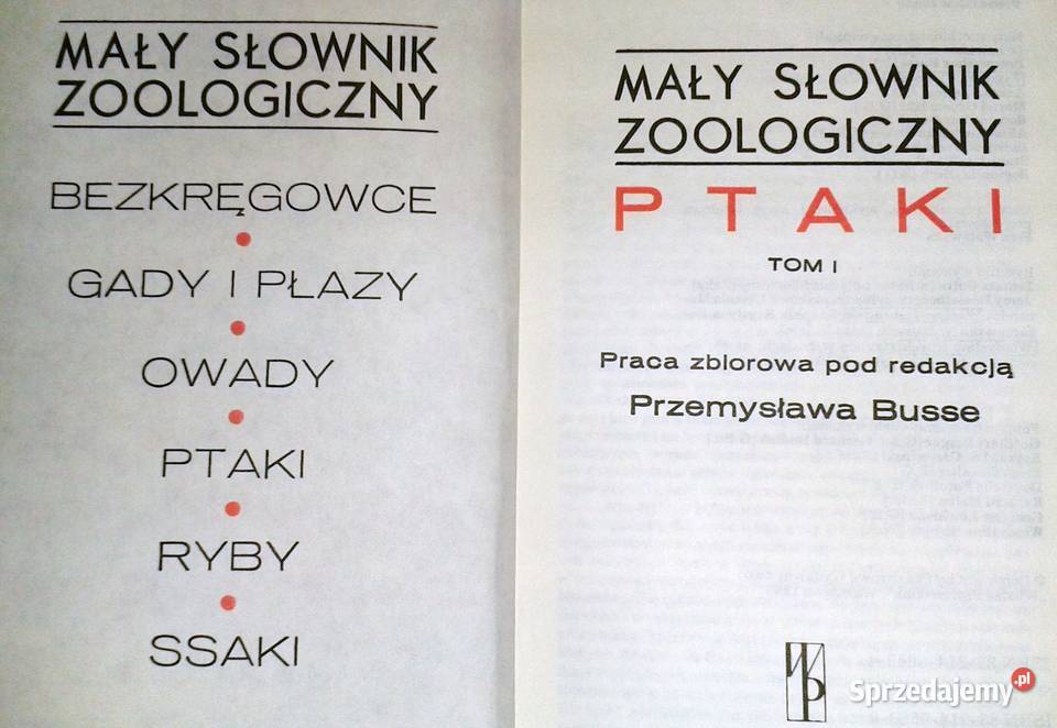 Ptaki Mały słownik zoologiczny Tom 12 Przemysław Chełm